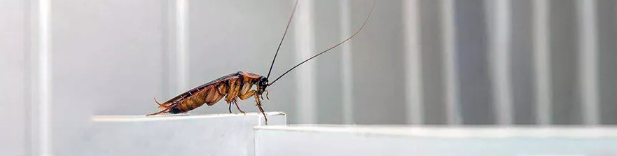 QQ截图20210119092714.png QQ截图20210119092714.png