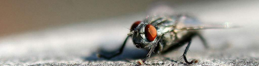 QQ截图20210119094057.png QQ截图20210119094057.png