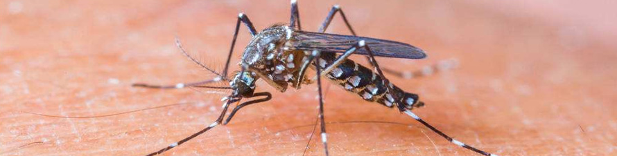 QQ截图20210119094916.png QQ截图20210119094916.png