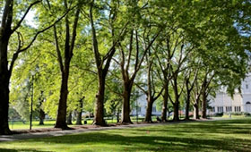 灭老鼠的有效办法