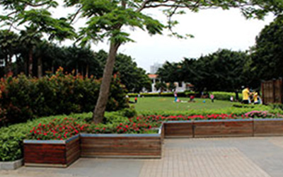 白蚁对受伤林木的危害