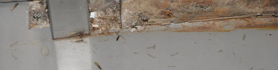 QQ截图20210119093530.png QQ截图20210119093530.png